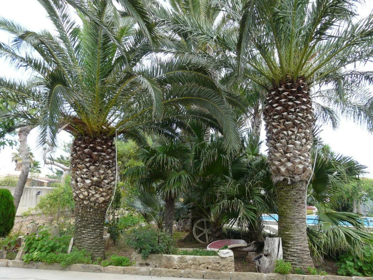 Villa Yucca Avola Ngoại thất bức ảnh
