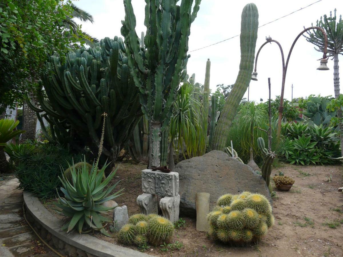 Villa Yucca Avola Ngoại thất bức ảnh
