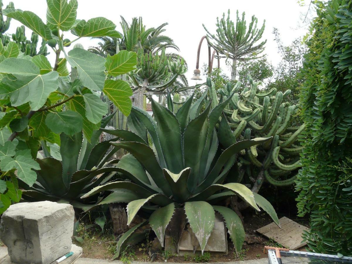 Villa Yucca Avola Ngoại thất bức ảnh